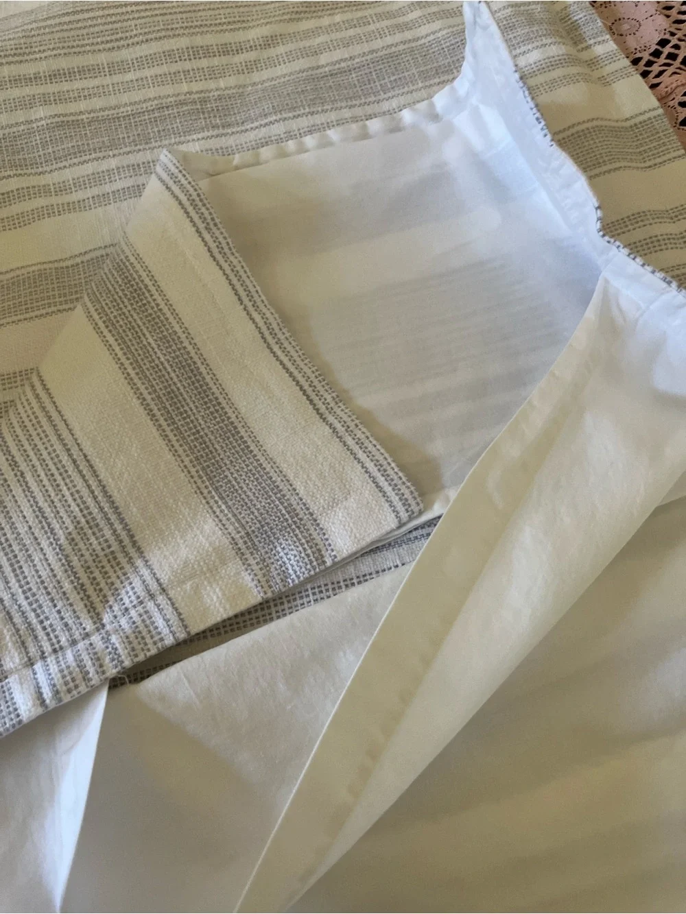 Pottery Barn pillow sham pair